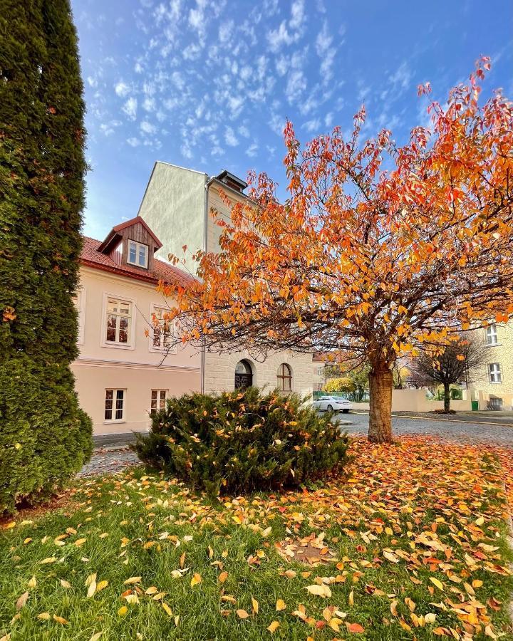 Apartmany Basta & Wellness Сушіце Екстер'єр фото