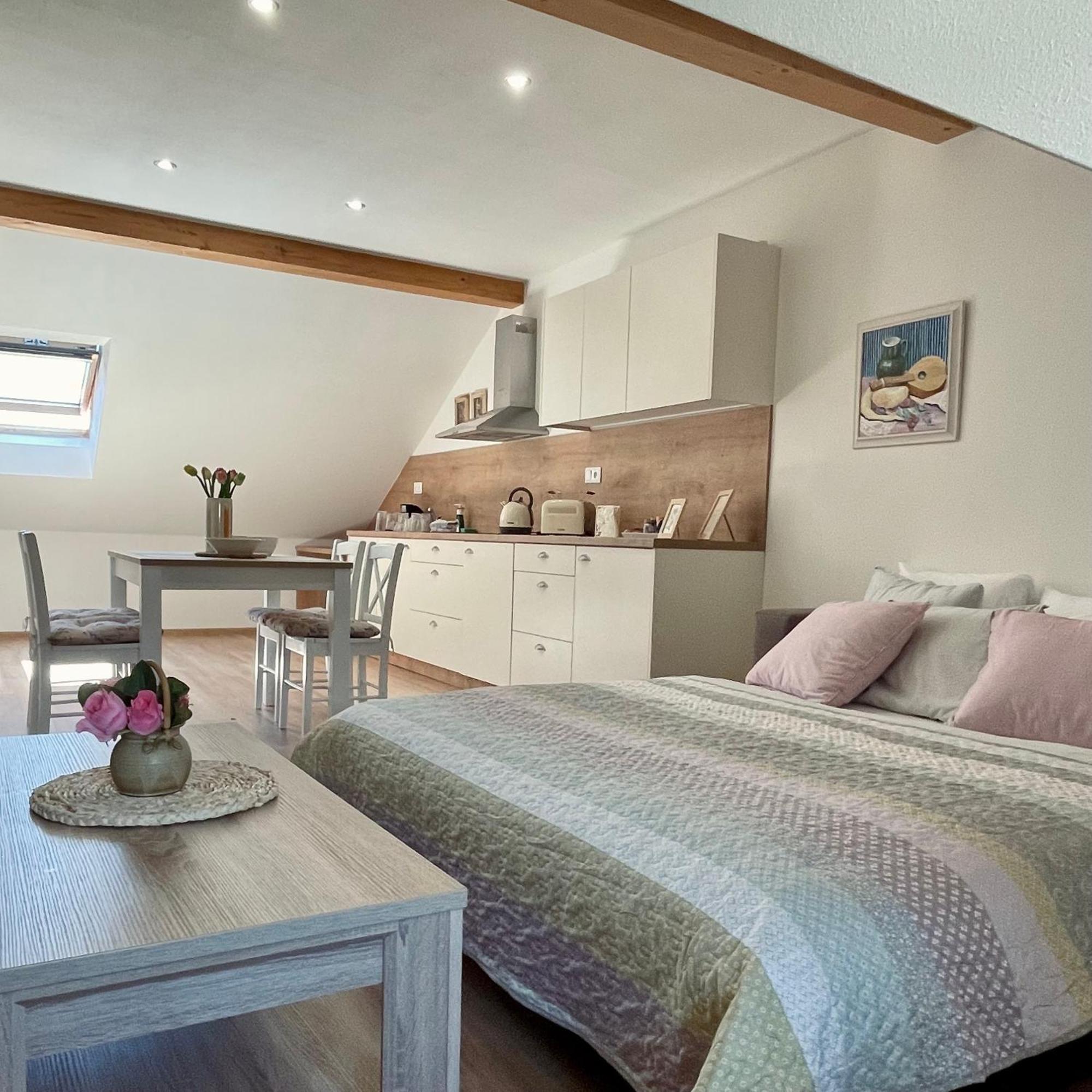 Apartmany Basta & Wellness Сушіце Екстер'єр фото
