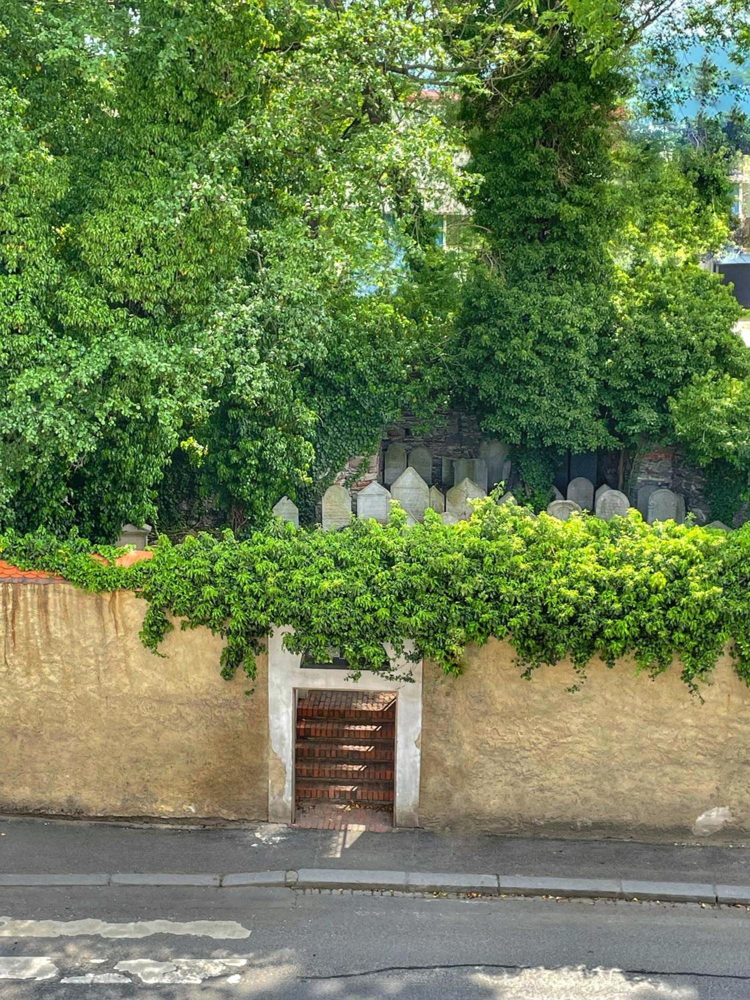 Apartmany Basta & Wellness Сушіце Екстер'єр фото